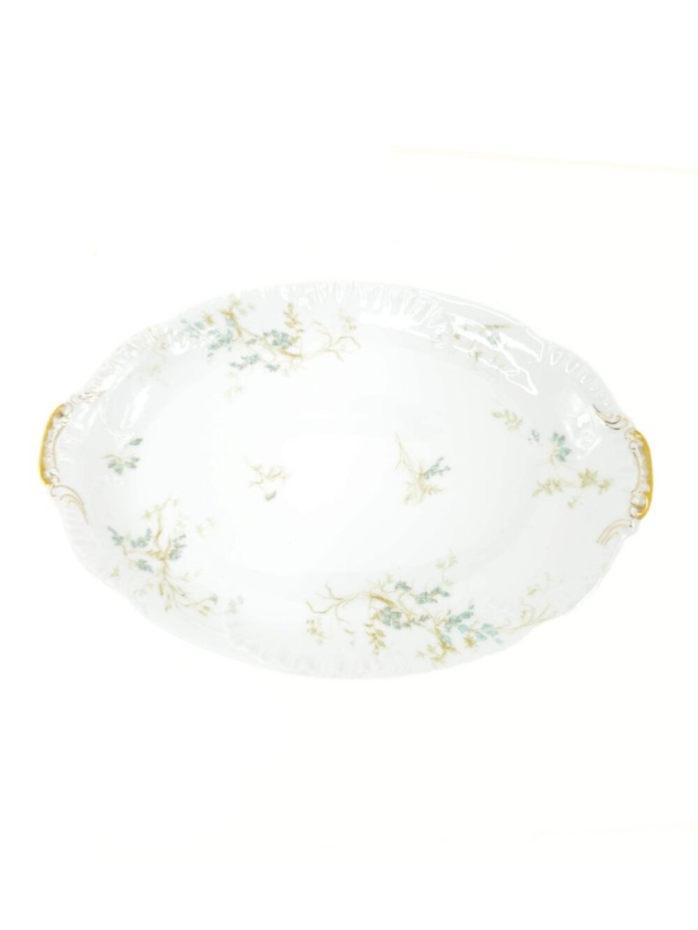c. 1880 Haviland x Wright Tyndale van Roden Schleiger 245 Serving Platter